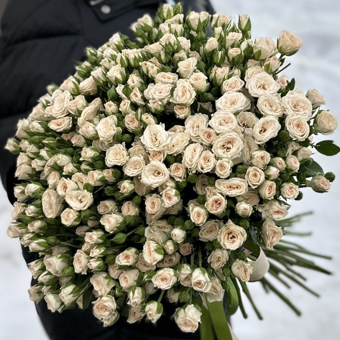 51 кустовая кремовая роза Рослин 40 см