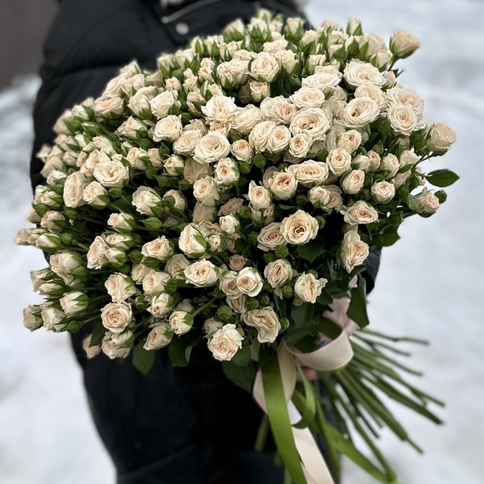 51 кустовая кремовая роза Рослин 40 см