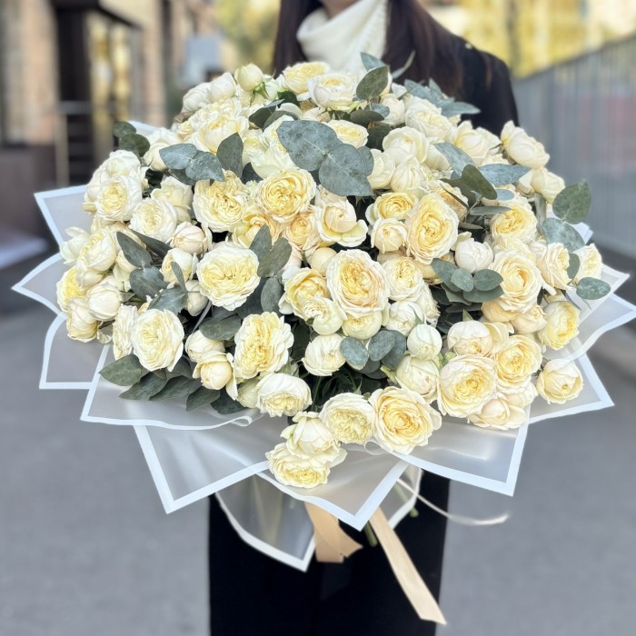 51 кустовая пионовидная кремовая роза Джульетта