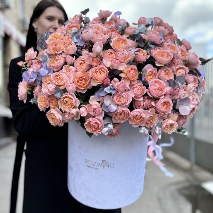 51 кустовая пионовидная роза Джульетта в бархатной коробке