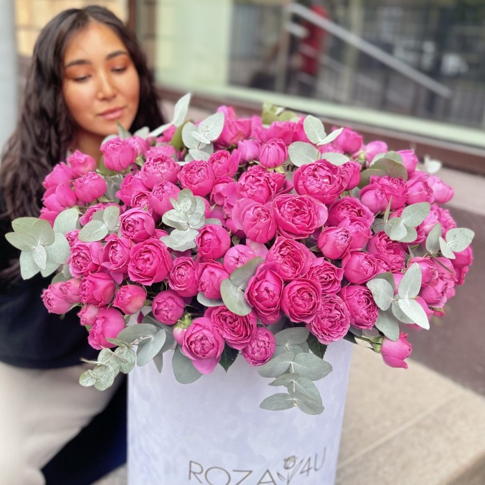 51 кустовая пионовидная роза Мисти Баблс в бархатной коробке