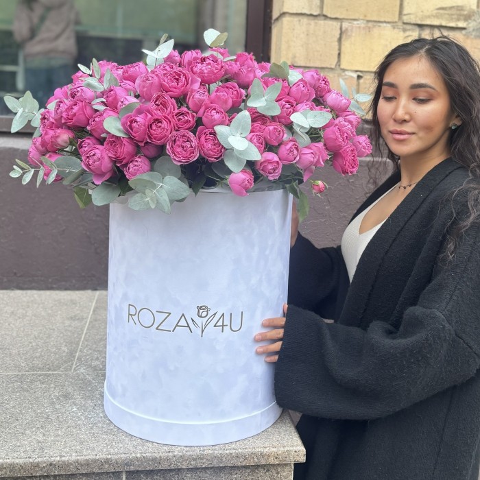 51 кустовая пионовидная роза Мисти Баблс в бархатной коробке