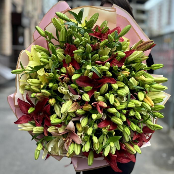 51 лилия  Азиатка микс