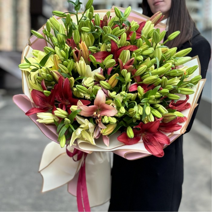 51 лилия  Азиатка микс