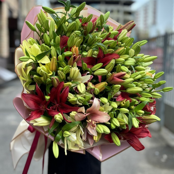 51 лилия  Азиатка микс