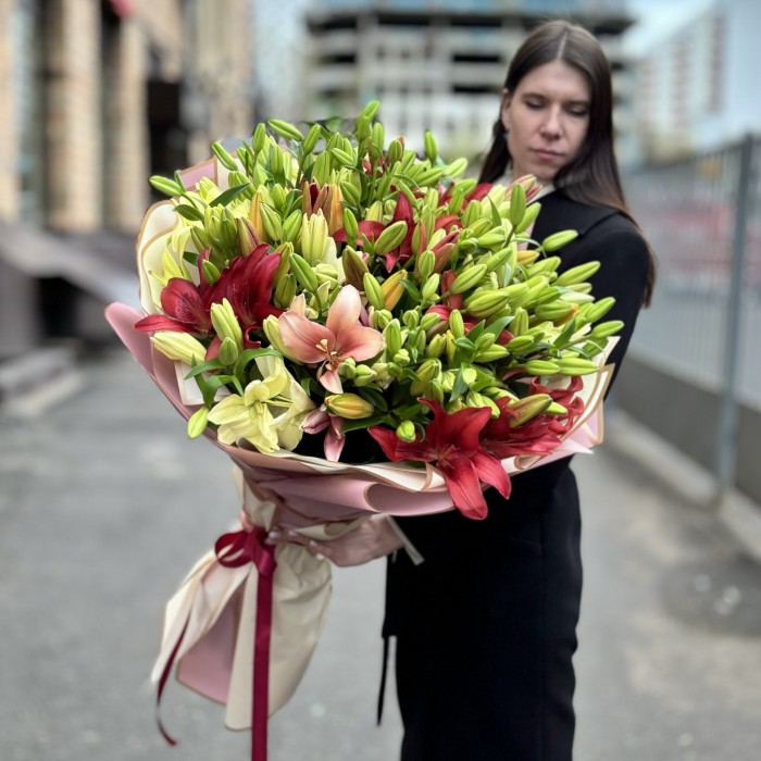 51 лилия  Азиатка микс