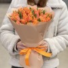 51 оранжевый махровый тюльпан Оранж пэшн