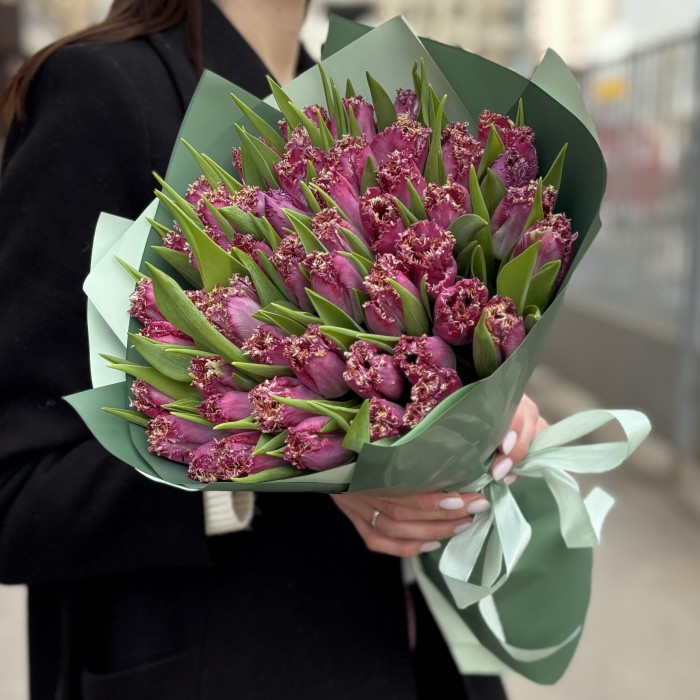 51 махровый темно-розовый тюльпан в упаковке