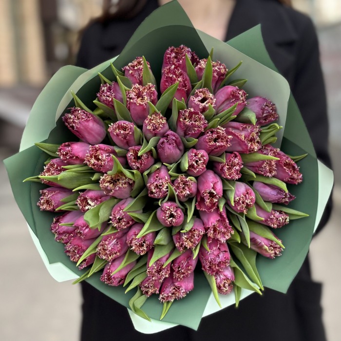 51 махровый темно-розовый тюльпан в упаковке