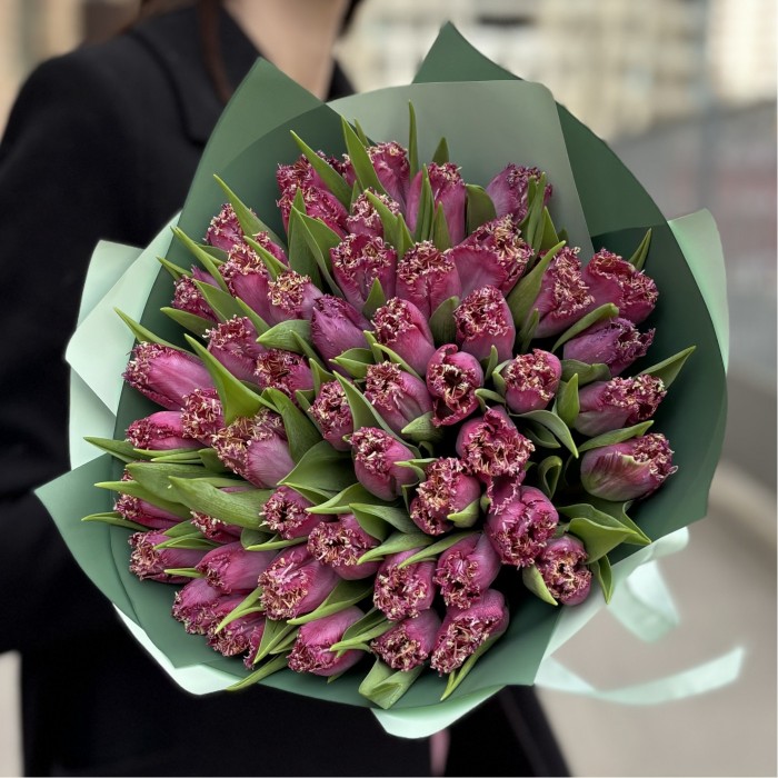 51 махровый темно-розовый тюльпан в упаковке