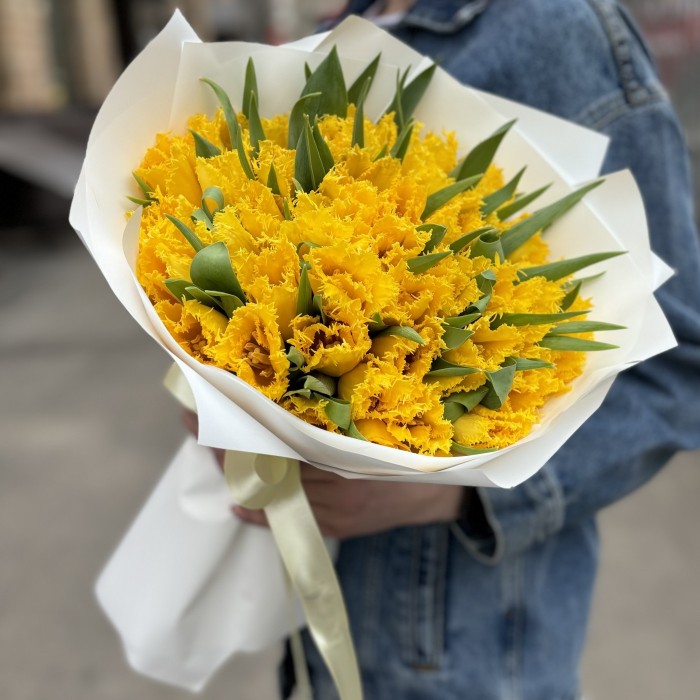 51 махровый желтый тюльпан