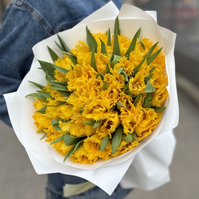 51 махровый желтый тюльпан