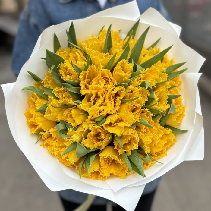 51 махровый желтый тюльпан