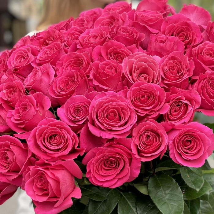 51 малиновая роза Пинк Флойд 80 см