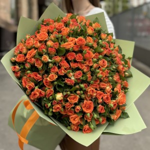 51 оранжевая кустовая роза Чарминг Бейб