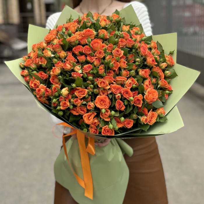 51 оранжевая кустовая роза Чарминг Бейб