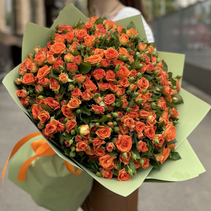 51 оранжевая кустовая роза Чарминг Бейб