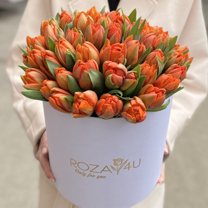 51 оранжевый пионовидный тюльпан Эрмитаж Даб в коробке