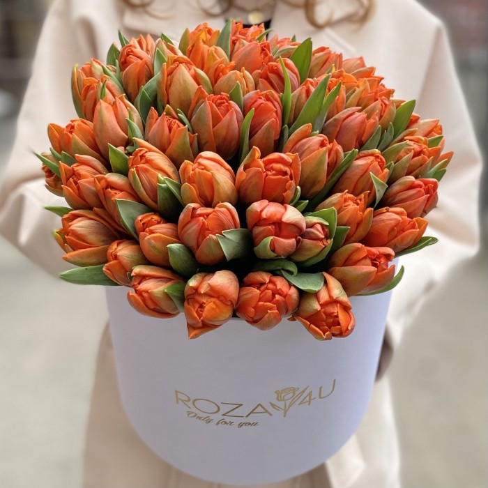 51 оранжевый пионовидный тюльпан Эрмитаж Даб в коробке