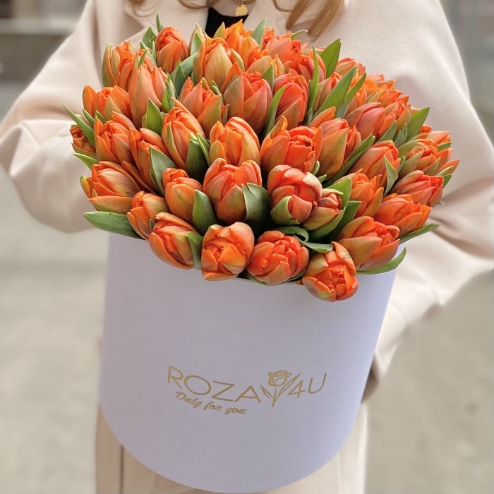 51 оранжевый пионовидный тюльпан Эрмитаж Даб в коробке