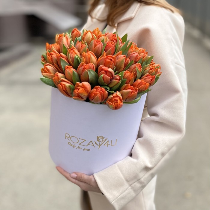 51 оранжевый пионовидный тюльпан Эрмитаж Даб в коробке