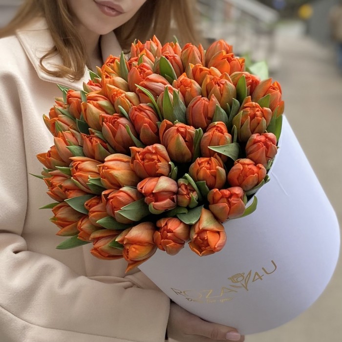 51 оранжевый пионовидный тюльпан Эрмитаж Даб в коробке
