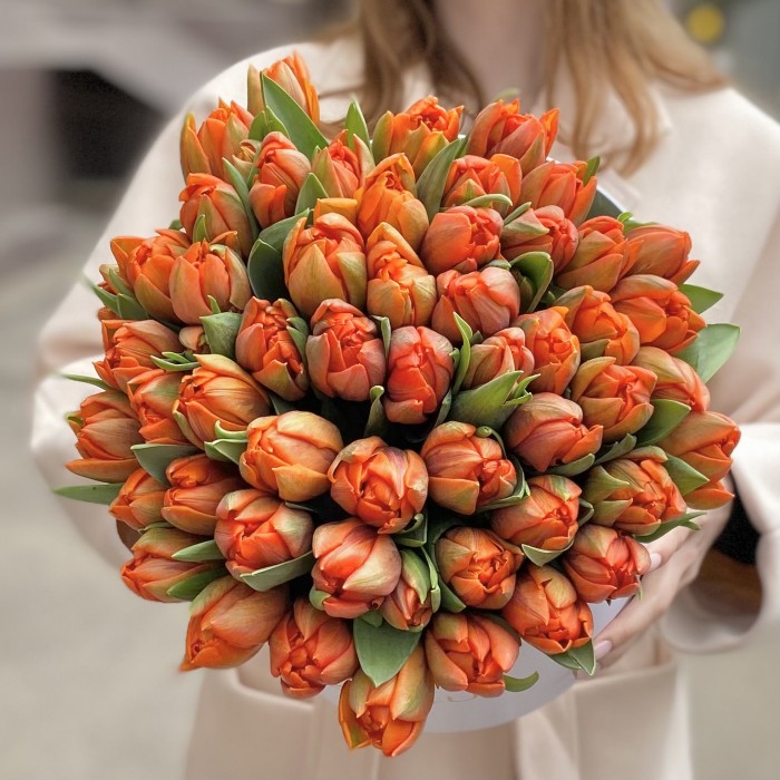 51 оранжевый пионовидный тюльпан Эрмитаж Даб в коробке