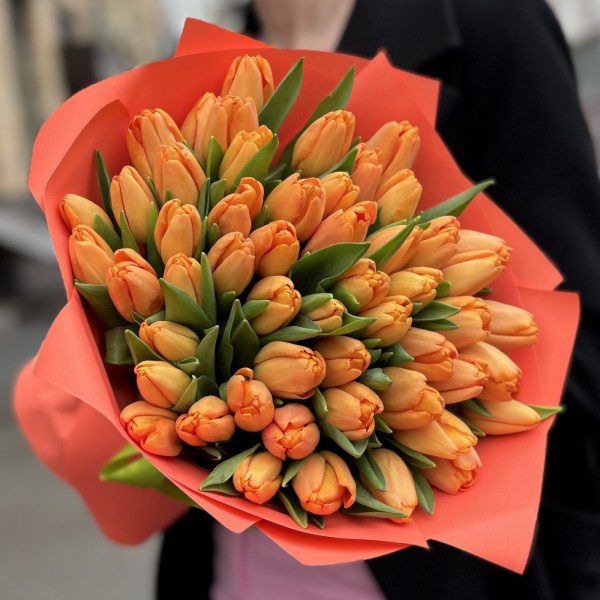 51 оранжевый тюльпан Тайм Аут в упаковке
