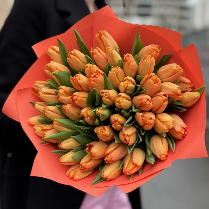 51 оранжевый тюльпан Тайм Аут в упаковке