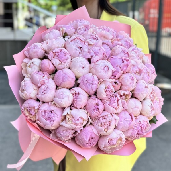 51 розовый пион Ангел Чикс