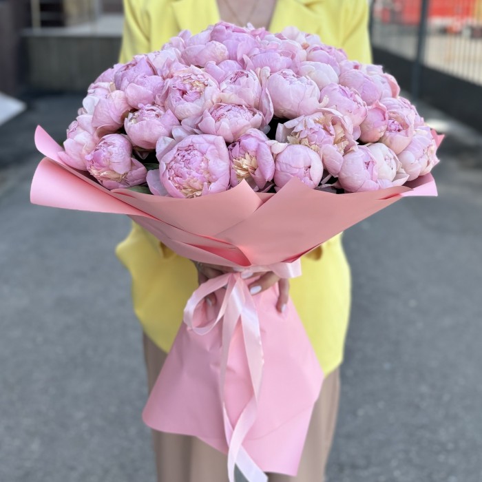 51 розовый пион Ангел Чикс