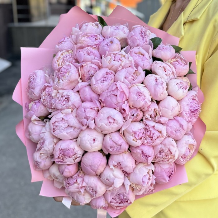 51 розовый пион Ангел Чикс