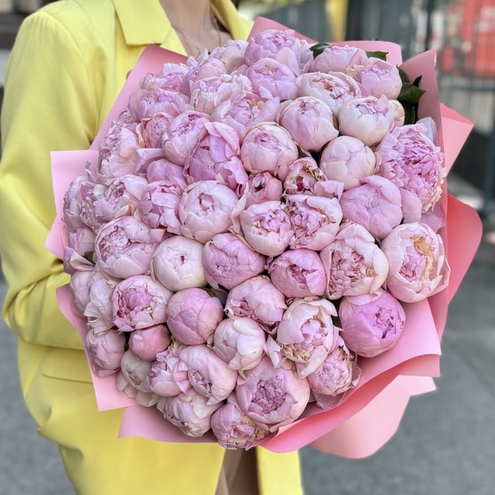 51 розовый пион Ангел Чикс