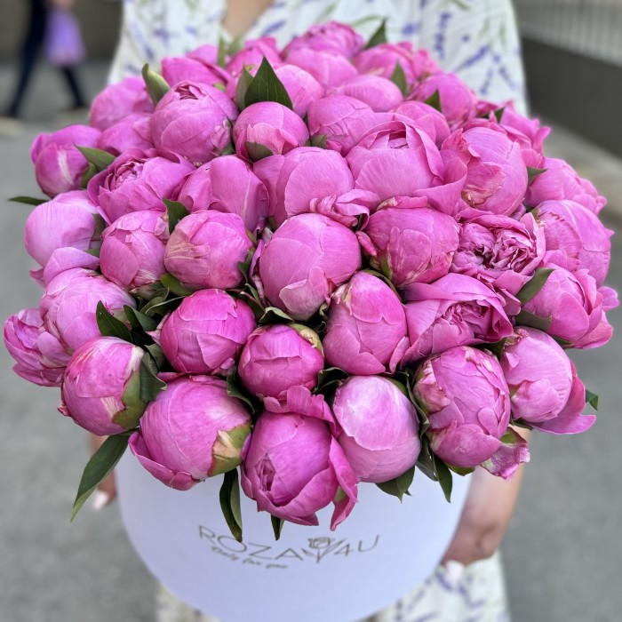 51 пион Флеминг в коробке