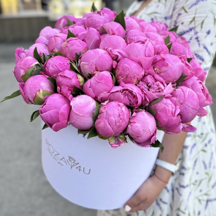 51 пион Флеминг в коробке