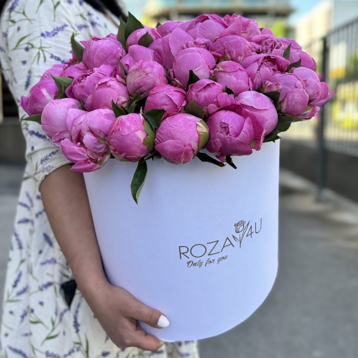 51 пион Флеминг в коробке