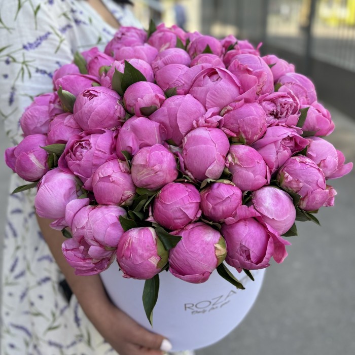 51 пион Флеминг в коробке