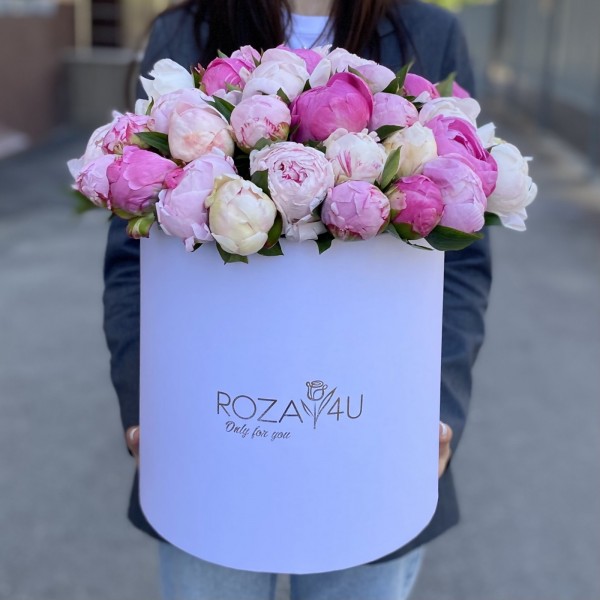 51 пион Микс в коробке