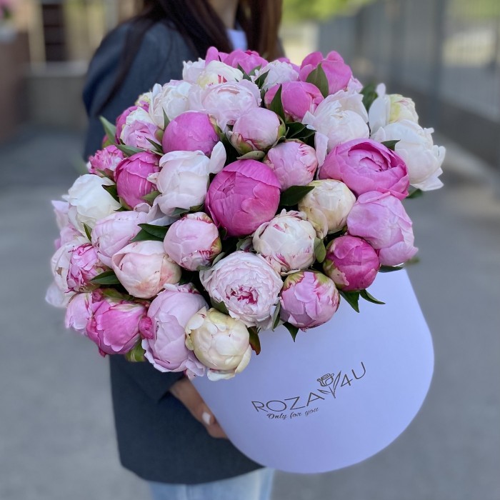 51 пион Микс в коробке