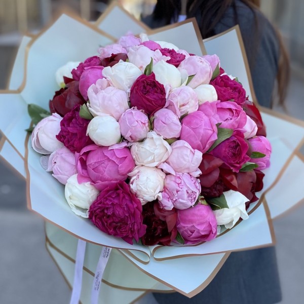 51 пион Микс в упаковке