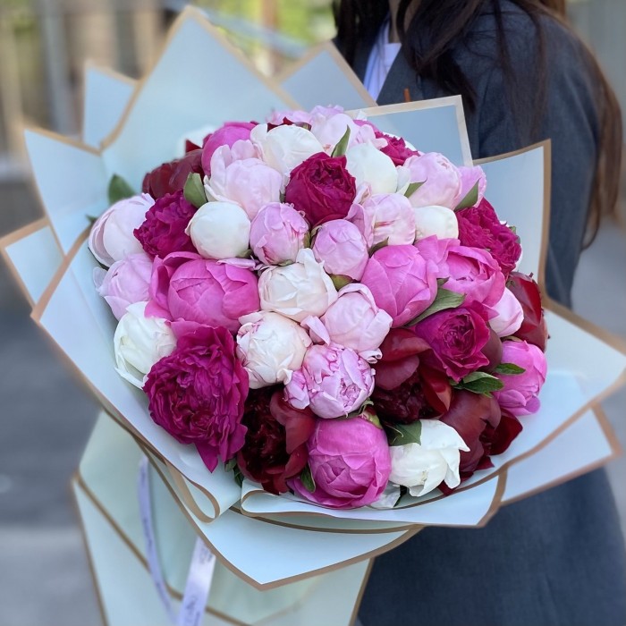 51 пион Микс в упаковке