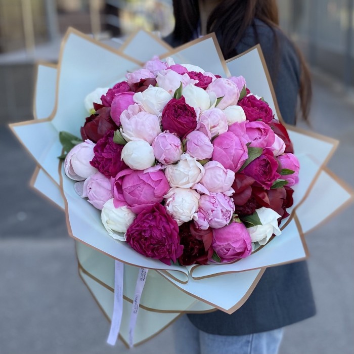 51 пион Микс в упаковке