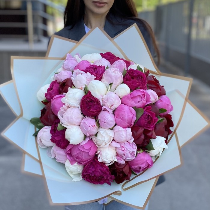 51 пион Микс в упаковке