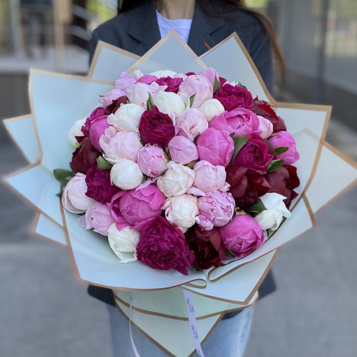 51 пион Микс в упаковке