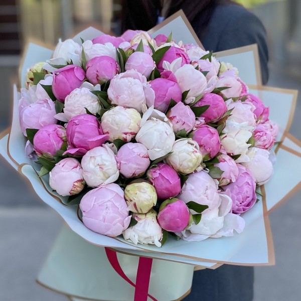 51 пион Нежный Микс в упаковке