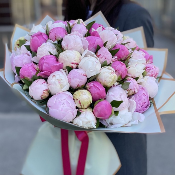 51 пион Нежный Микс в упаковке