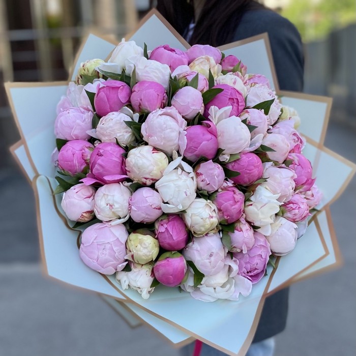 51 пион Нежный Микс в упаковке