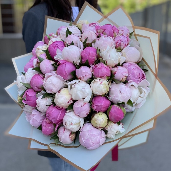 51 пион Нежный Микс в упаковке