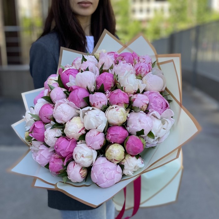 51 пион Нежный Микс в упаковке