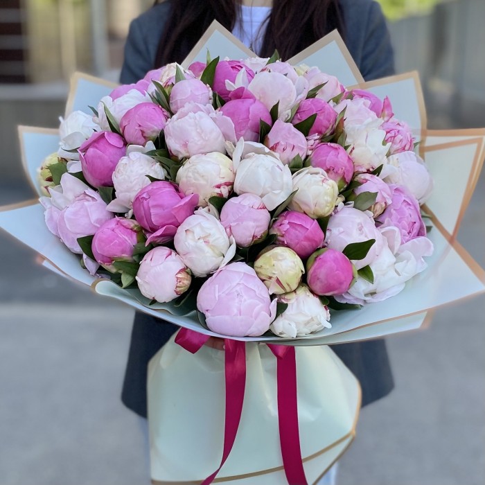 51 пион Нежный Микс в упаковке